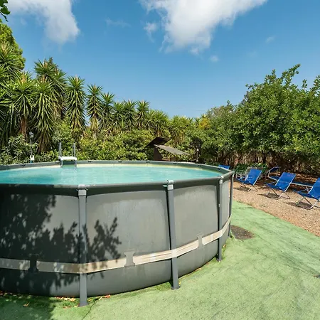 Chia Pool, 5 Per 12 People